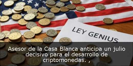 Asesor de la Casa Blanca anticipa un julio decisivo para el desarrollo de criptomonedas. 