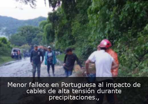 Menor fallece en Portuguesa al impacto de cables de alta tensión durante precipitaciones