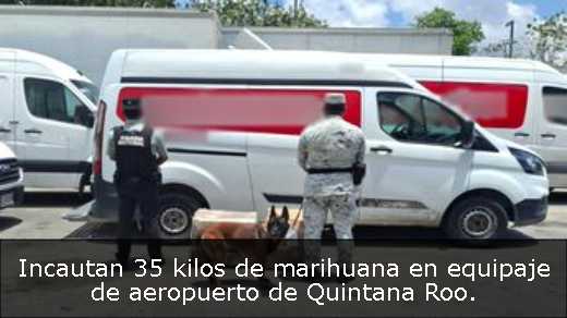 Incautan 35 kilos de marihuana en equipaje de aeropuerto de Quintana Roo