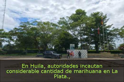 En Huila, autoridades incautan considerable cantidad de marihuana en La Plata