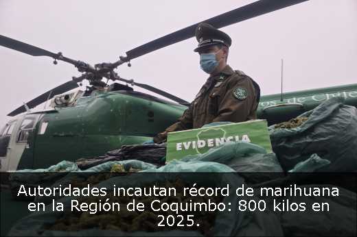Autoridades incautan récord de marihuana en la Región de Coquimbo: 800 kilos en 2025