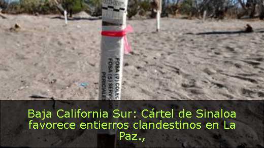 Baja California Sur: Cártel de Sinaloa favorece entierros clandestinos en La Paz