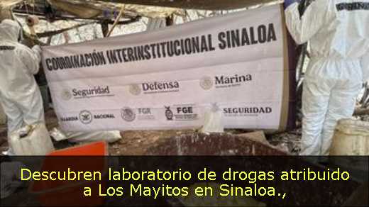 Descubren laboratorio de drogas atribuido a Los Mayitos en Sinaloa