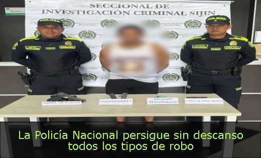 La Policía Nacional persigue sin descanso todos los tipos de robo 