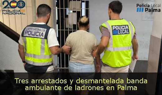 Tres arrestados y desmantelada banda ambulante de ladrones en Palma 