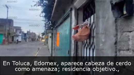 En Toluca, Edomex, aparece cabeza de cerdo como amenaza; residencia objetivo