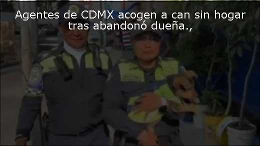 Agentes de CDMX acogen a can sin hogar tras abandonó dueña