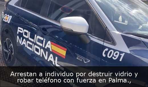 Arrestan a individuo por destruir vidrio y robar teléfono con fuerza en Palma