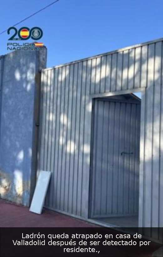 Ladrón queda atrapado en casa de Valladolid después de ser detectado por residente