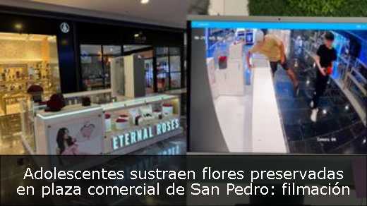 Adolescentes sustraen flores preservadas en plaza comercial de San Pedro: filmación 