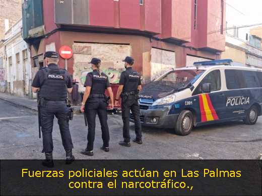 Fuerzas policiales actúan en Las Palmas contra el narcotráfico
