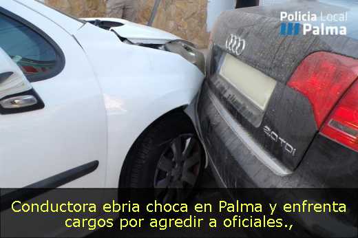Conductora ebria choca en Palma y enfrenta cargos por agredir a oficiales