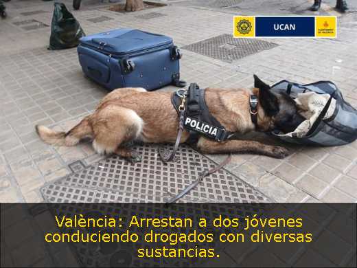València: Arrestan a dos jóvenes conduciendo drogados con diversas sustancias