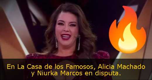 En La Casa de los Famosos, Alicia Machado y Niurka Marcos en disputa