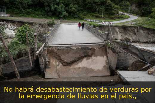 No habrá desabastecimiento de verduras por la emergencia de lluvias en el país