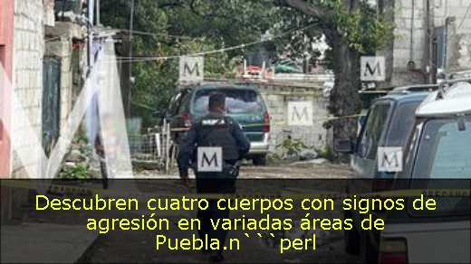 Descubren cuatro cuerpos con signos de agresión en variadas áreas de Puebla.n```perl